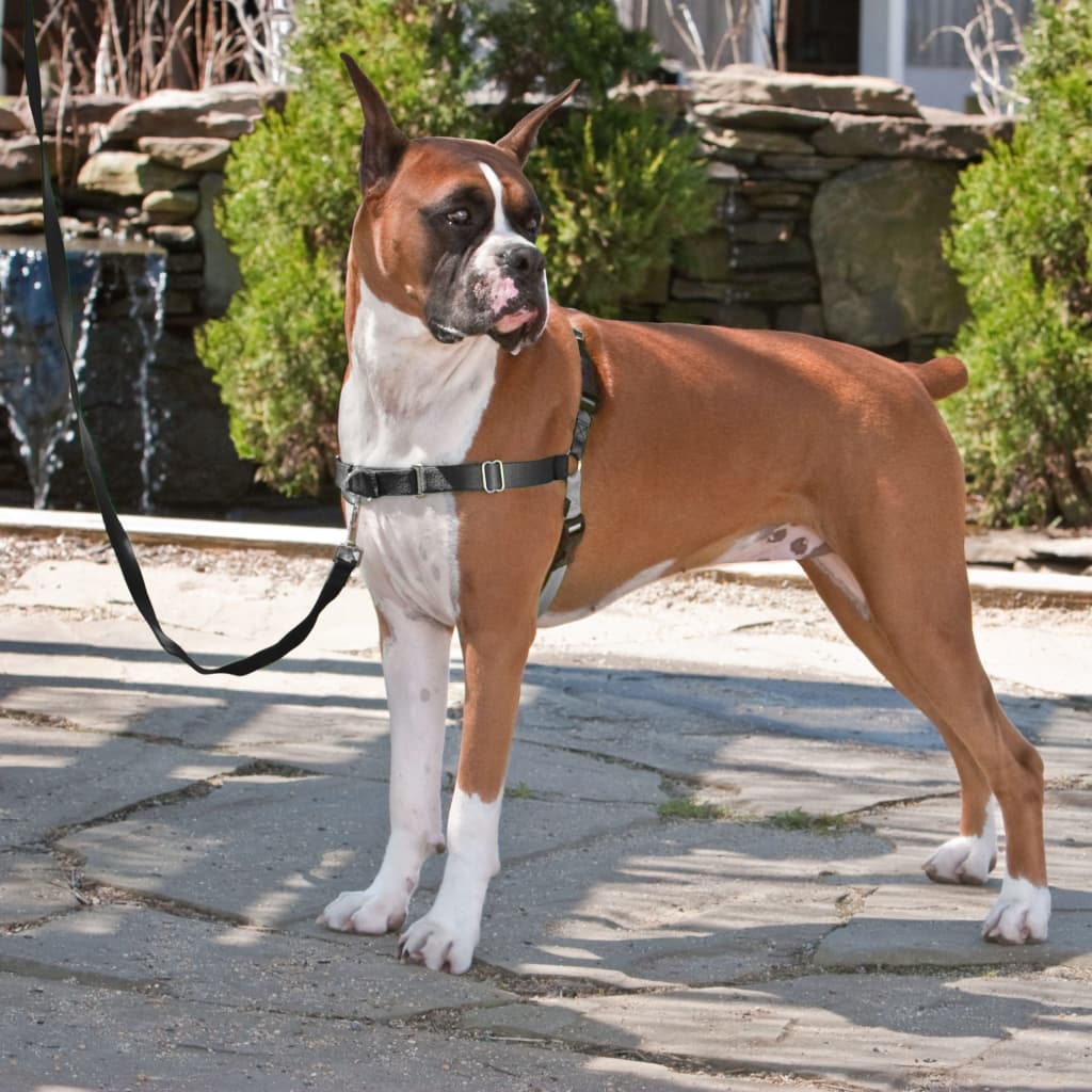 Petsafe Pettorina Per Cani Easy Wak Misura Nera
