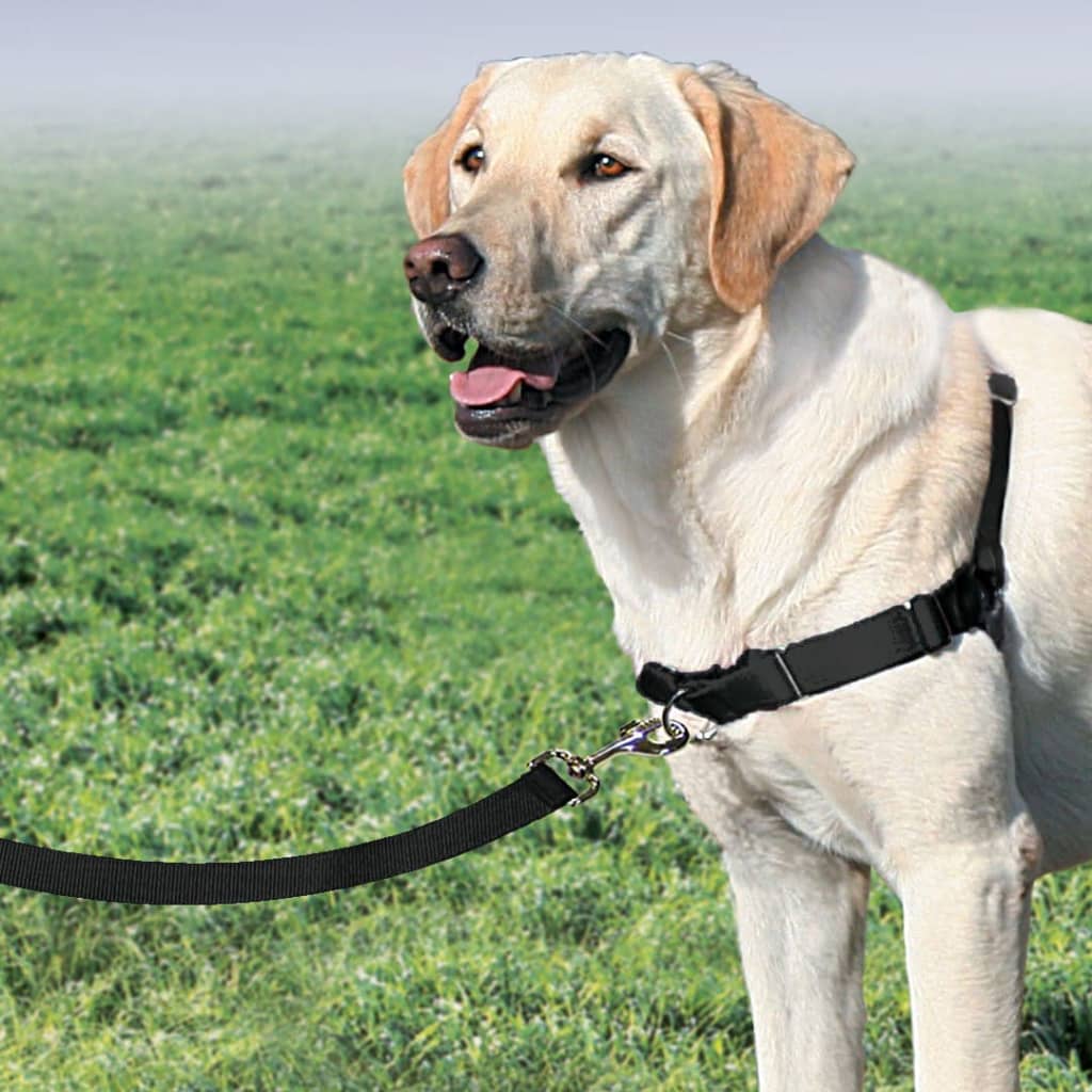 Petsafe Pettorina Per Cani Easy Wak Misura Nera