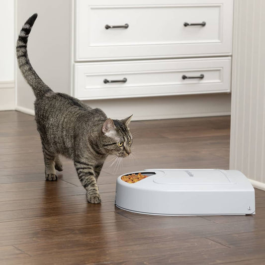 Petsafe Dispensatore Di 5 Pasti Per Animali Eatwell Con Timer Grigio