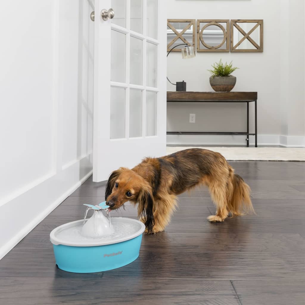 Petsafe Fontana Per Animali Domestici Drinkwell Con Farfalla 1,5 L Bianco