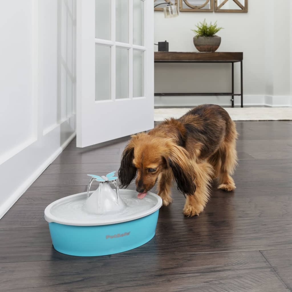 Petsafe Fontana Per Animali Domestici Drinkwell Con Farfalla 1,5 L Bianco