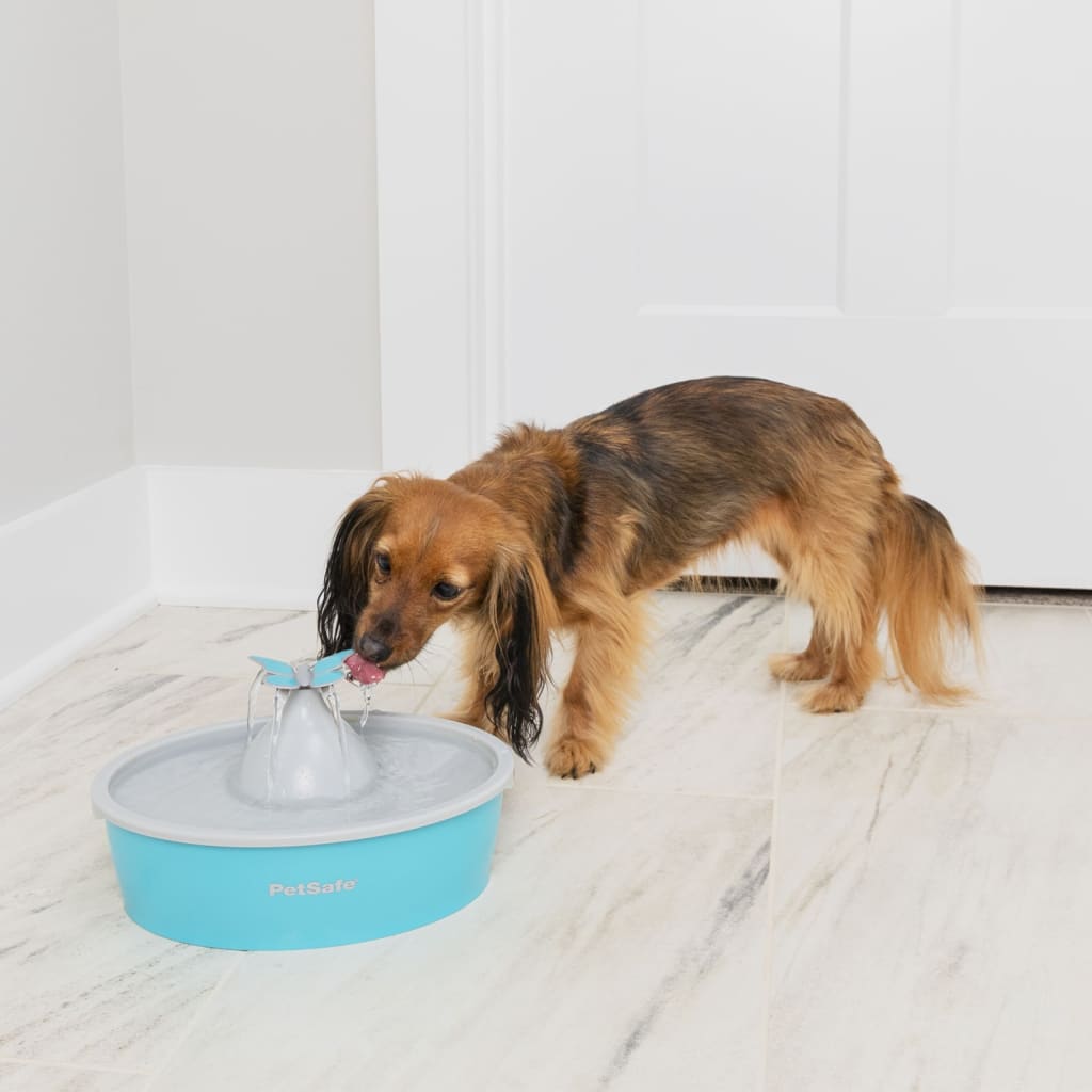 Petsafe Fontana Per Animali Domestici Drinkwell Con Farfalla 1,5 L Bianco