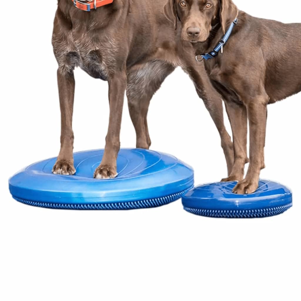 Fitpaws Disco Per L'allenamento Dell'equilibrio Per Cani Blu