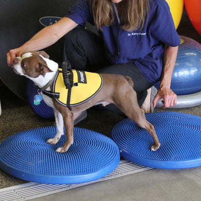 Fitpaws Disco Per L'allenamento Dell'equilibrio Per Cani Blu