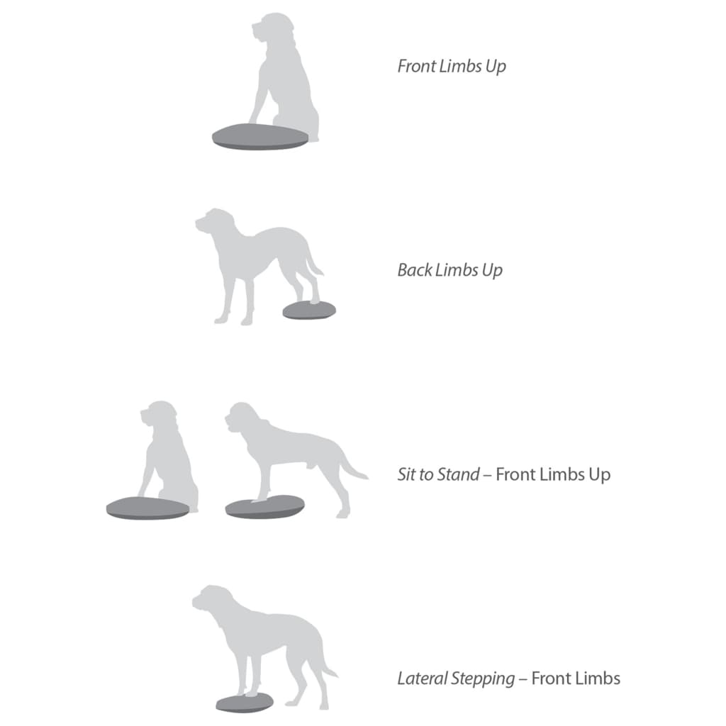 Fitpaws Disco Per L'allenamento Dell'equilibrio Per Cani Blu