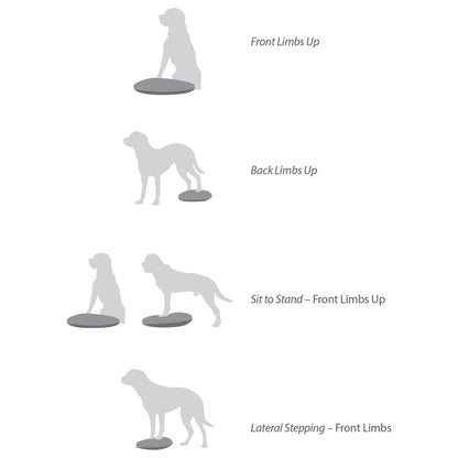 Fitpaws Disco Per L'allenamento Dell'equilibrio Per Cani Blu