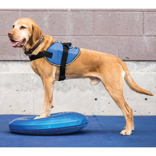 Fitpaws Disco Per L'allenamento Dell'equilibrio Per Cani Blu