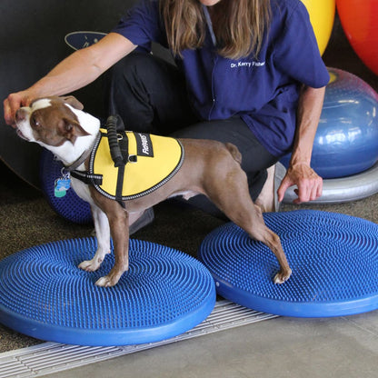 Fitpaws Disco Per L'allenamento Dell'equilibrio Per Cani Blu