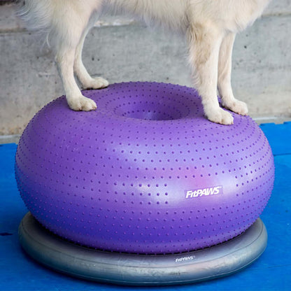 Fitpaws Supporto Anello Di Addestramento 63 Cm Grigio