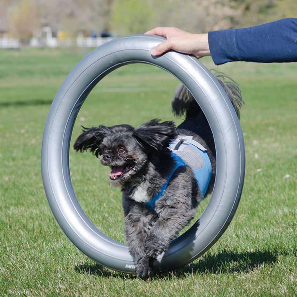 Fitpaws Supporto Anello Di Addestramento 63 Cm Grigio