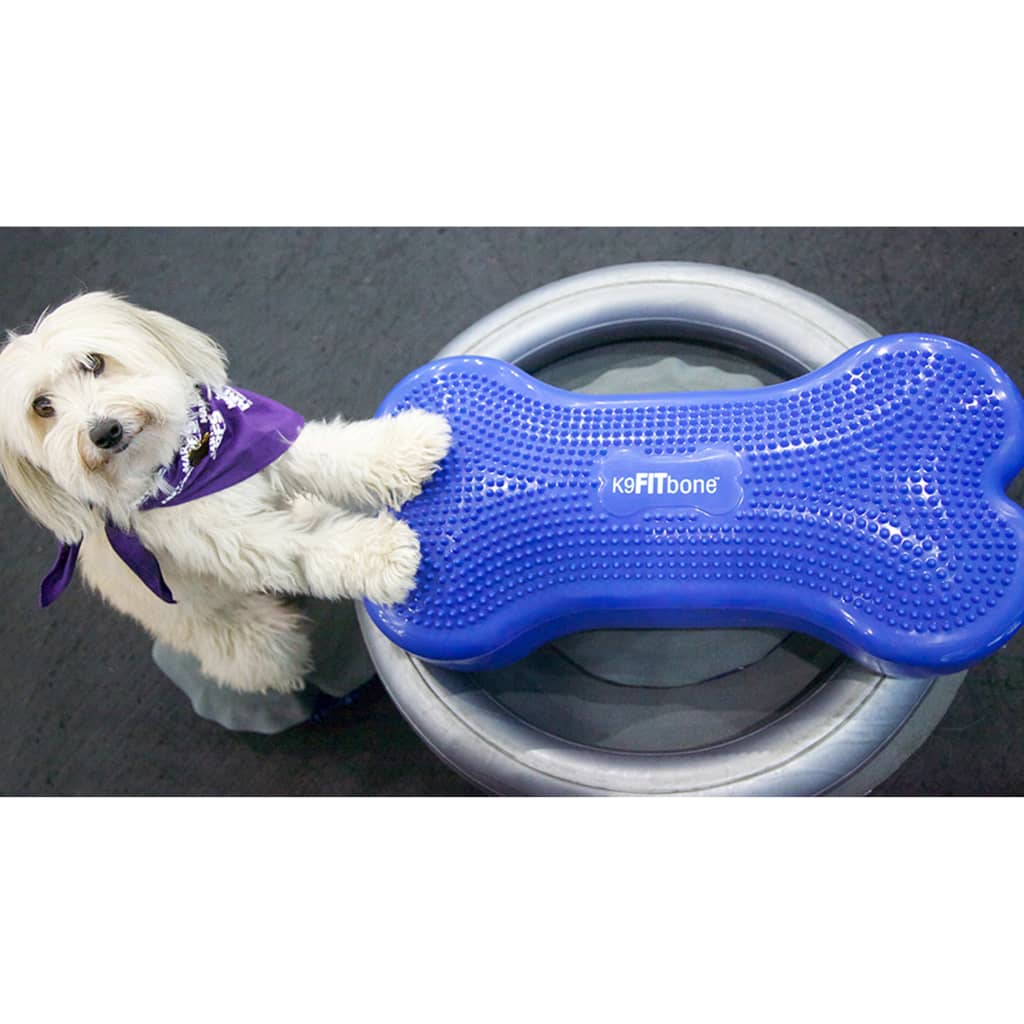 Fitpaws Supporto Anello Di Addestramento 63 Cm Grigio