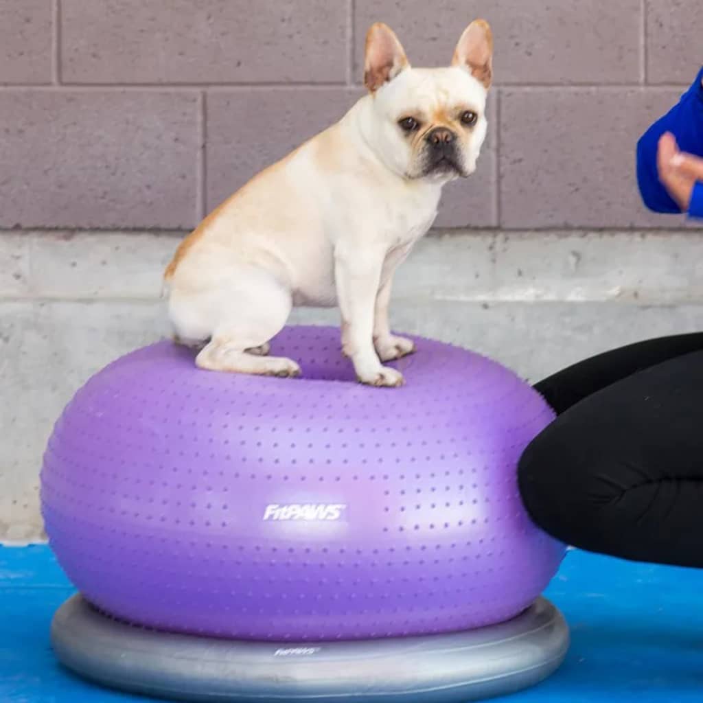 Fitpaws Palla Di Equillibrio Per Animali Trax Donut 55 Cm Viola