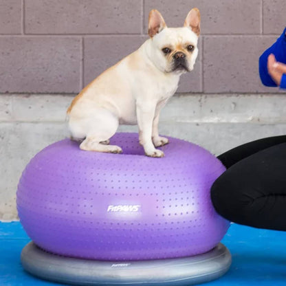Fitpaws Palla Di Equillibrio Per Animali Trax Donut 55 Cm Viola