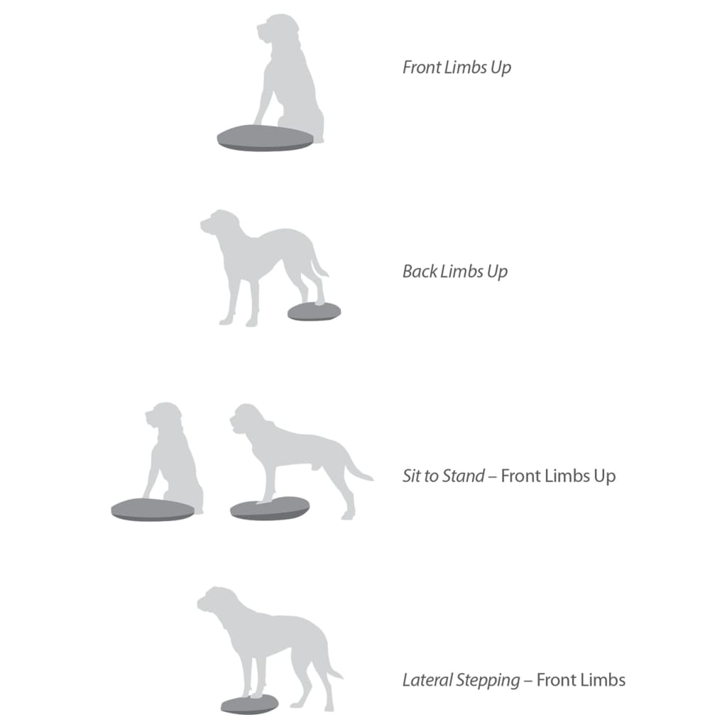 Fitpaws Disco Per L'allenamento Dell'equilibrio Per Cani Lampone