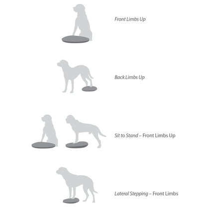 Fitpaws Disco Per L'allenamento Dell'equilibrio Per Cani Lampone