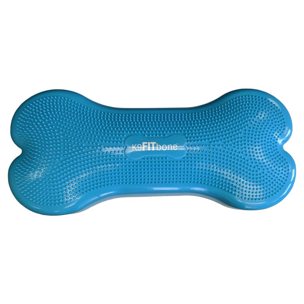 Fitpaws Piattaforma Equilibrio Per Animali Giant K9Fitbone Pvc