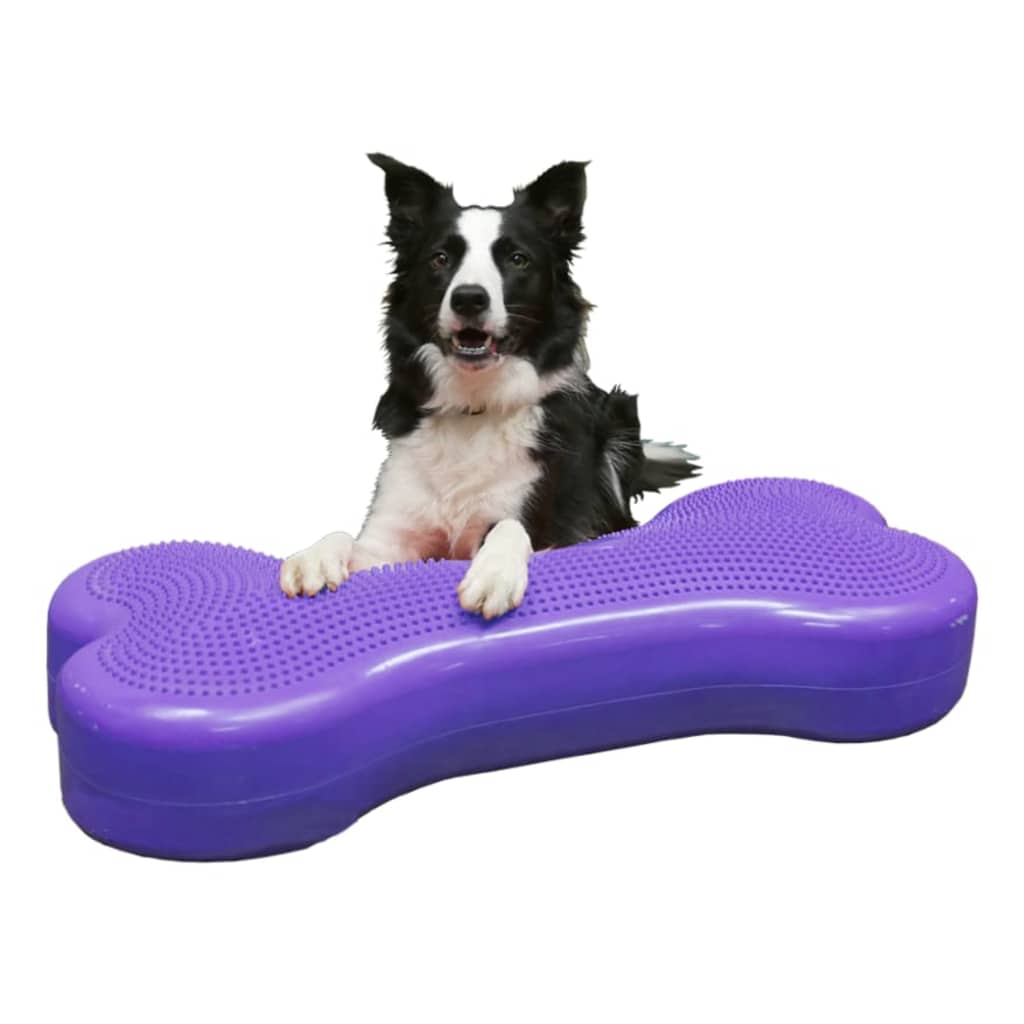 Fitpaws Piattaforma Equilibrio Per Animali Giant K9Fitbone Pvc