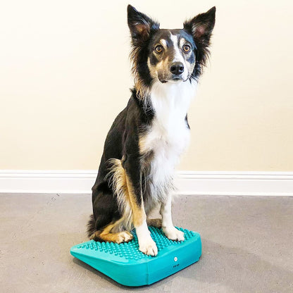 Fitpaws Rampa Di Bilanciamento Per Animali Domestici 35X35X7 Cm Blu