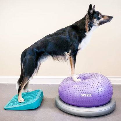 Fitpaws Rampa Di Bilanciamento Per Animali Domestici 35X35X7 Cm Blu