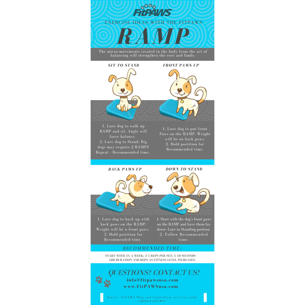 Fitpaws Rampa Di Bilanciamento Per Animali Domestici 35X35X7 Cm Blu