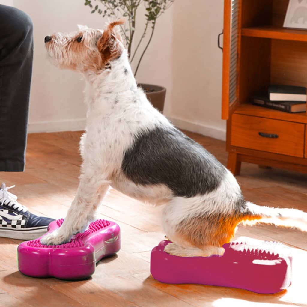Fitpaws Piattaforme Equilibrio Animali Mini K9Fitbone 2 Pz 29X16,5X6Cm