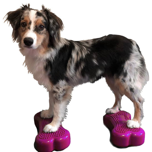 Fitpaws Piattaforme Equilibrio Animali Mini K9Fitbone 2 Pz 29X16,5X6Cm