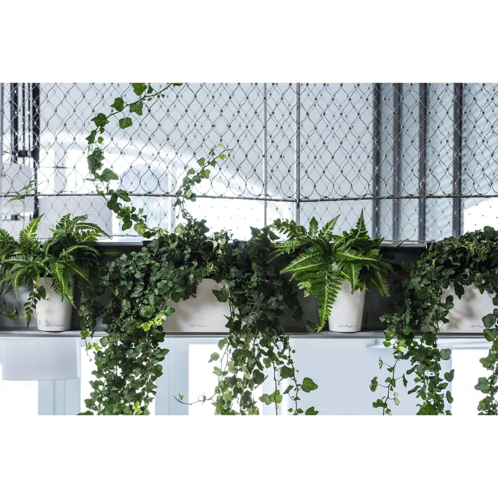 Lechuza Fioriera Deltini All-In-One Lucido