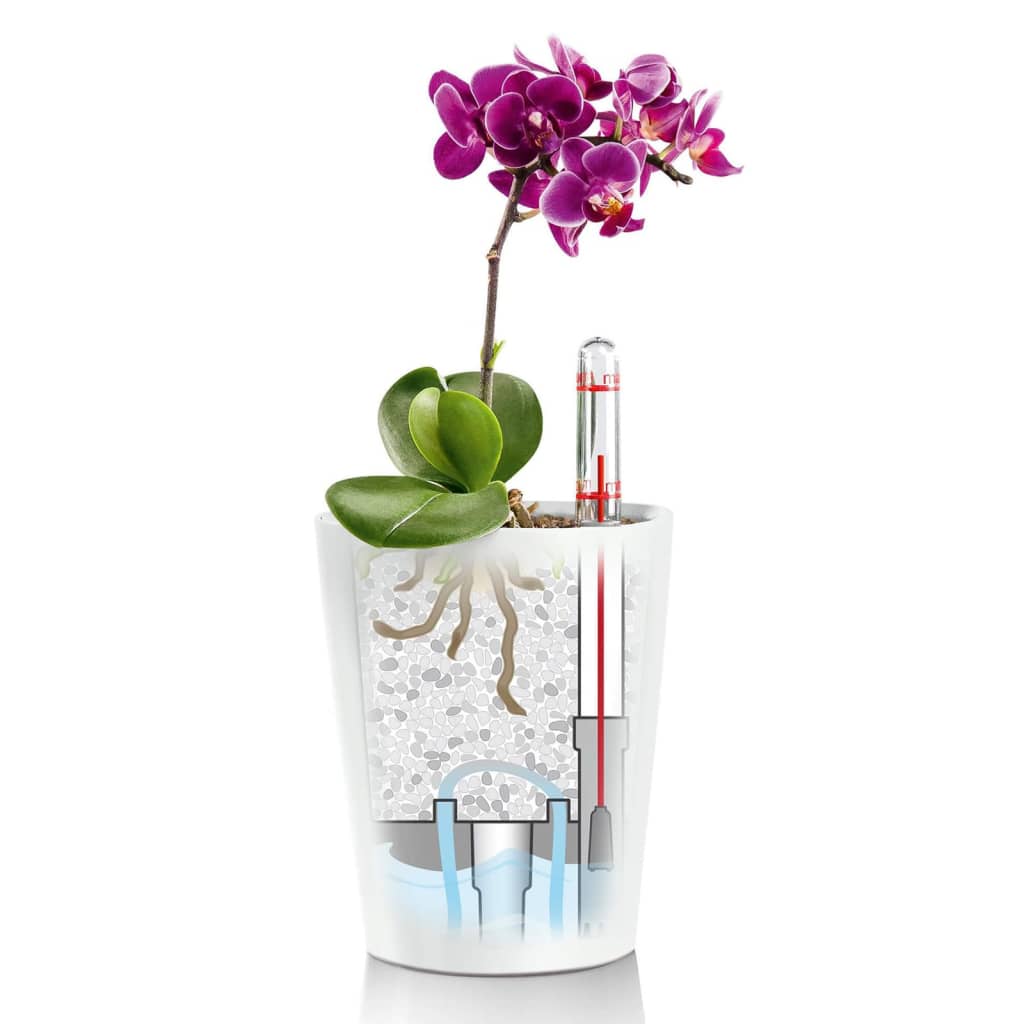Lechuza Fioriera Deltini All-In-One Lucido