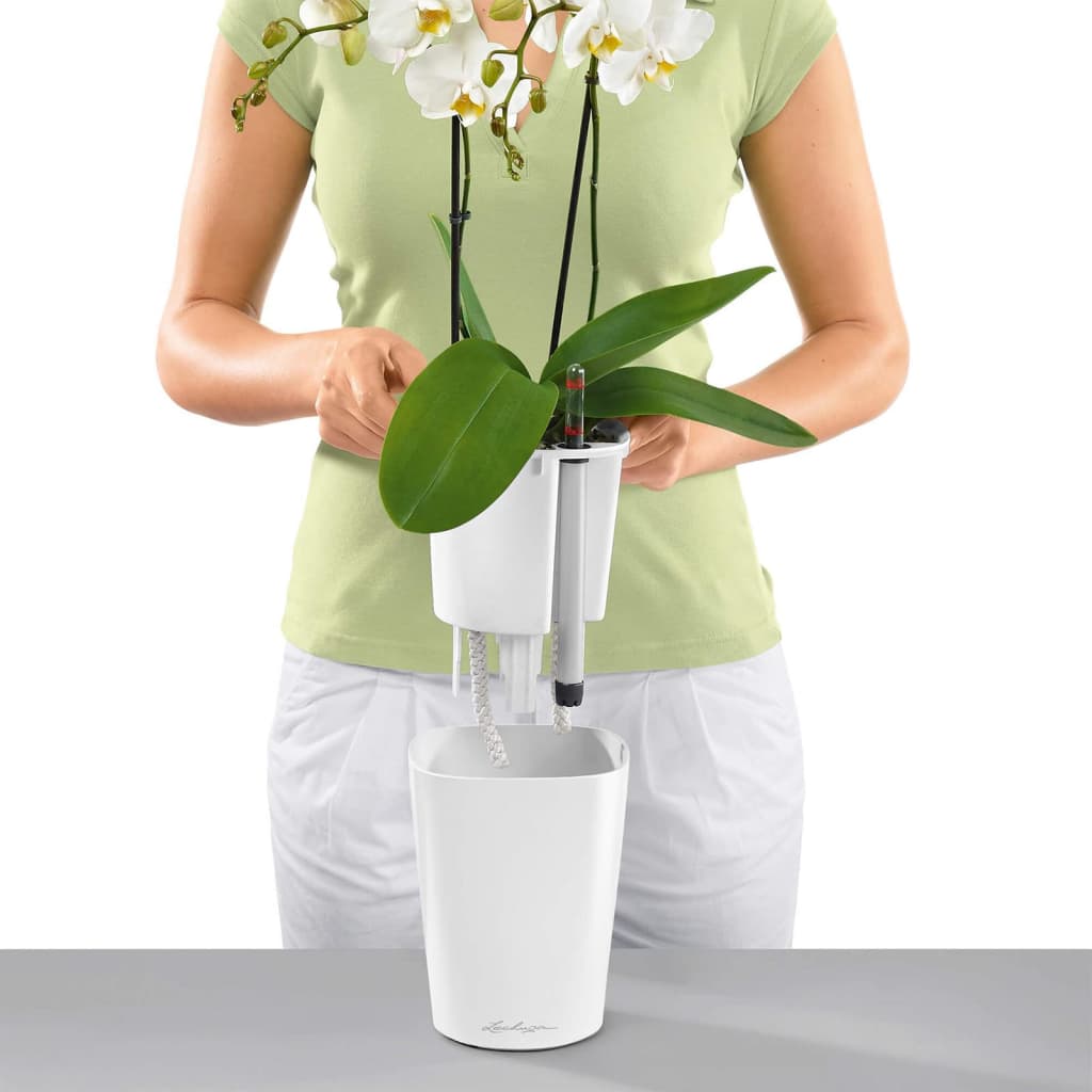 Lechuza Fioriera Deltini All-In-One Lucido