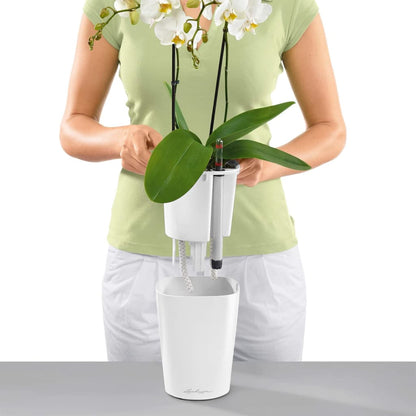 Lechuza Fioriera Deltini All-In-One Lucido