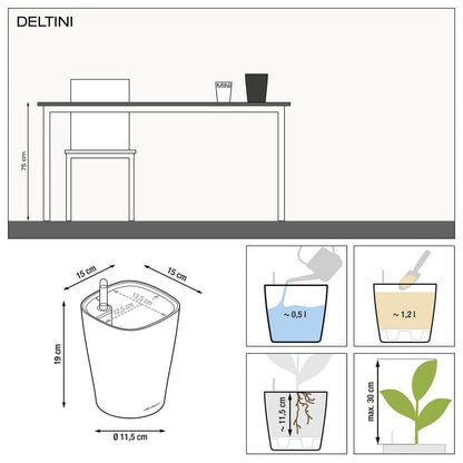 Lechuza Fioriera Deltini All-In-One Lucido