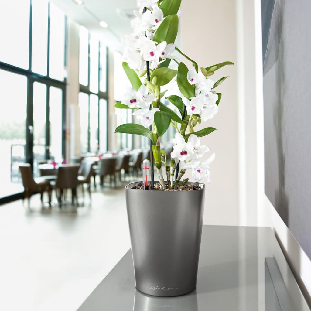Lechuza Fioriera Deltini All-In-One Lucido