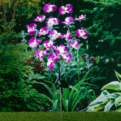Hi Luce Solare A Led Da Giardino A Forma Di Orchidee