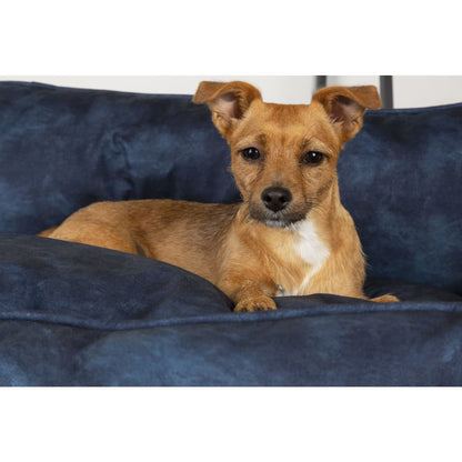 Scruffs & Traps Lettino Per Cani Kensington 60X50 C Navy