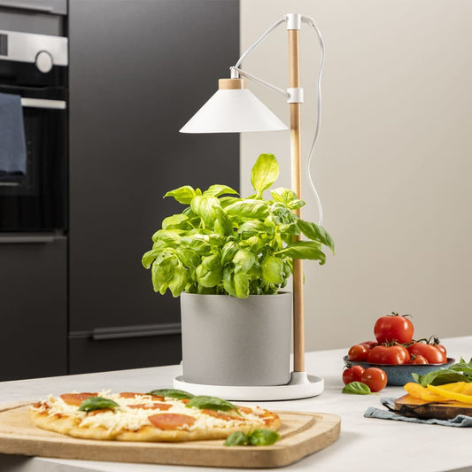 Smartwares Lampada Da Coltivazione A Led Da Giardino 9W Bianca Grigio Scuro