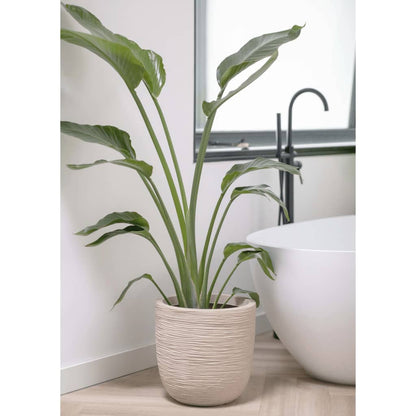 Capi Fioriera Rotonda Waste Rib 43X41 Cm Beige Terrazzo