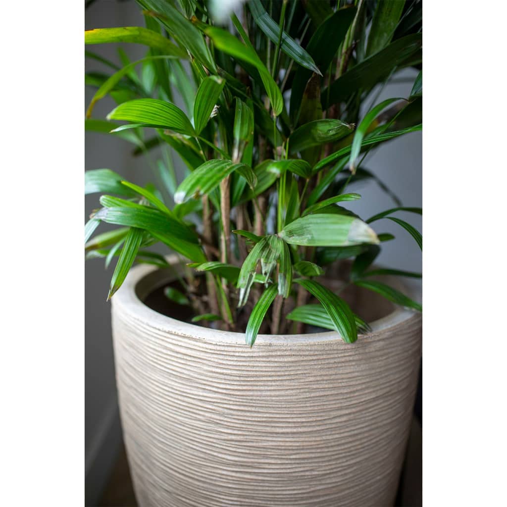Capi Vaso Elegante Basso Waste Rib 46X58 Cm Beige Terrazzo