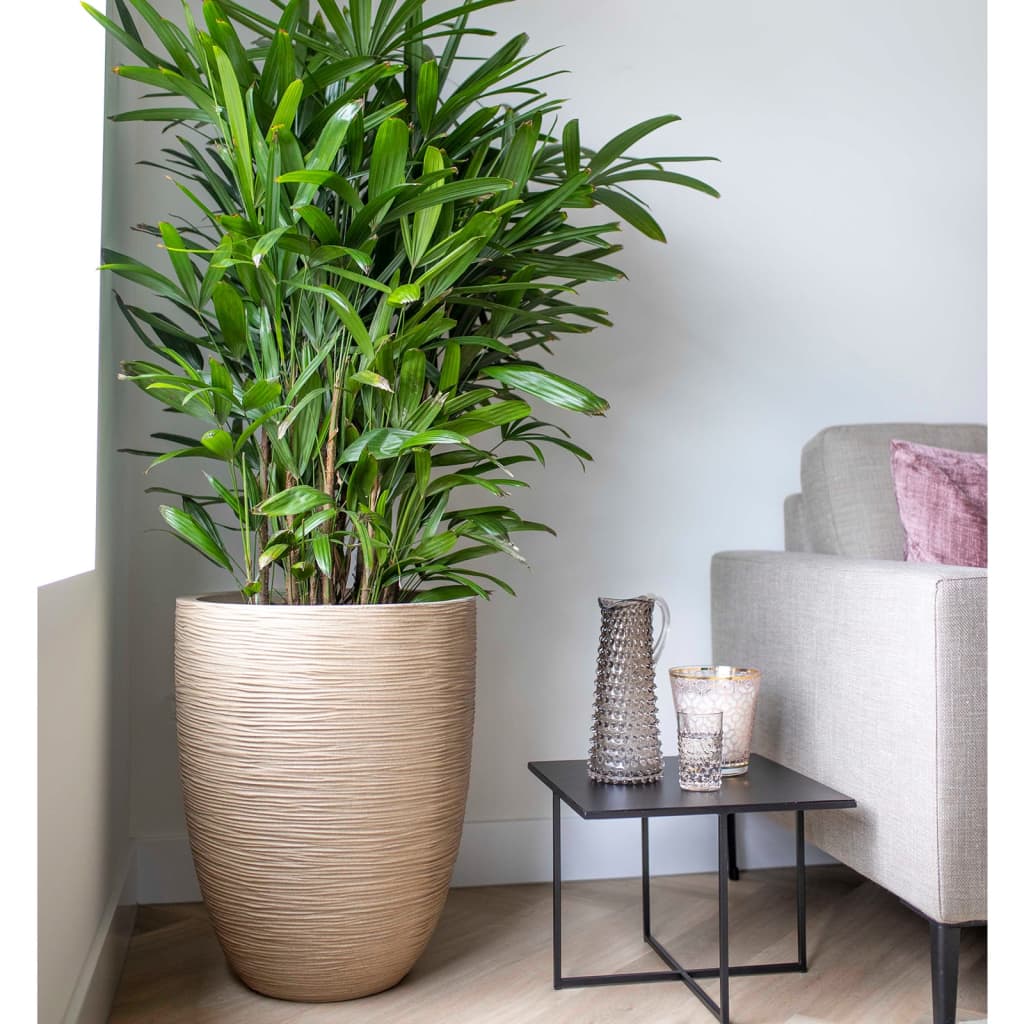Capi Vaso Elegante Basso Waste Rib 46X58 Cm Beige Terrazzo