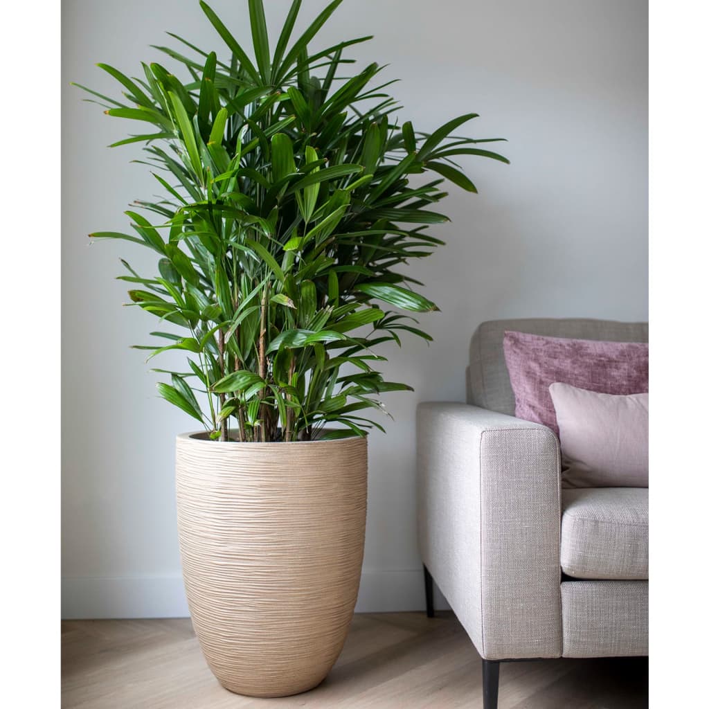 Capi Vaso Elegante Basso Waste Rib 46X58 Cm Beige Terrazzo