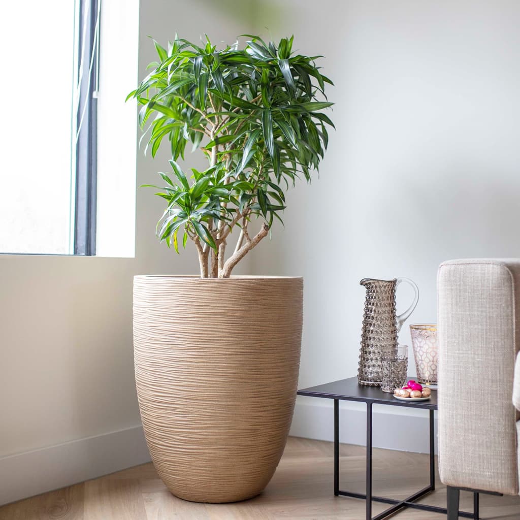 Capi Vaso Elegante Basso Waste Rib 46X58 Cm Beige Terrazzo
