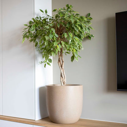 Capi Fioriera Rotonda Waste Smooth 43X41 Cm Beige Terrazzo