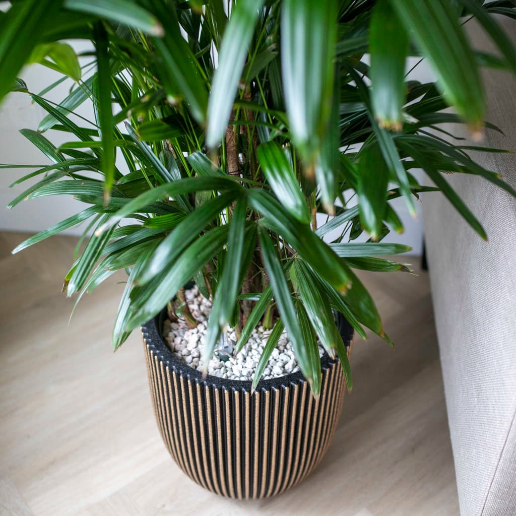 Capi Vaso Groove 43X41 Cm