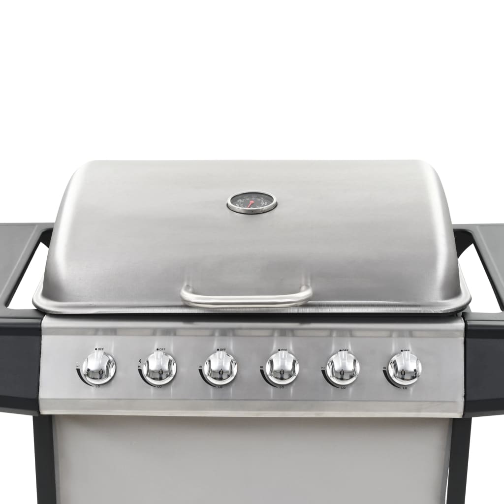 Barbecue Griglia A Gas 6 Fornelli Acciaio Inossidabile Argento