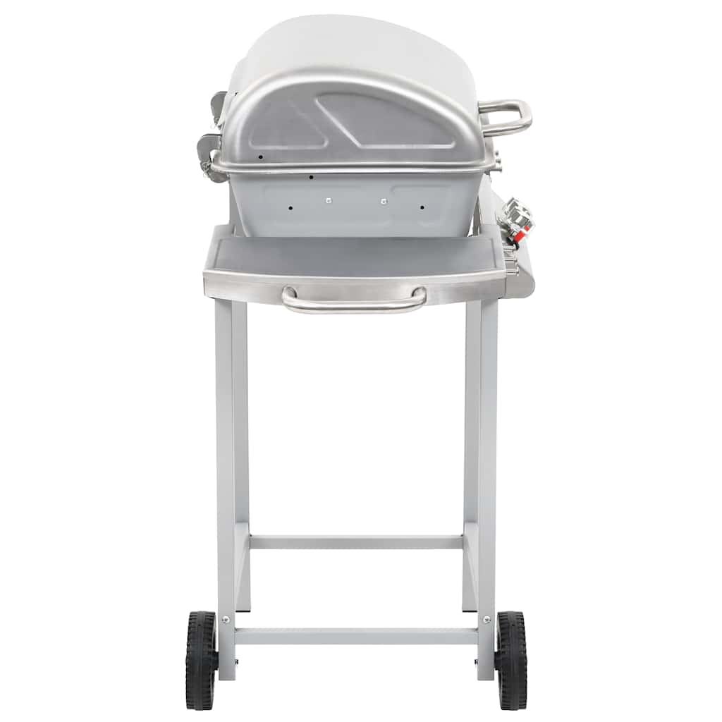 Barbecue A Gas Con Griglia 2 Fornelli Argento Acciaio Inox