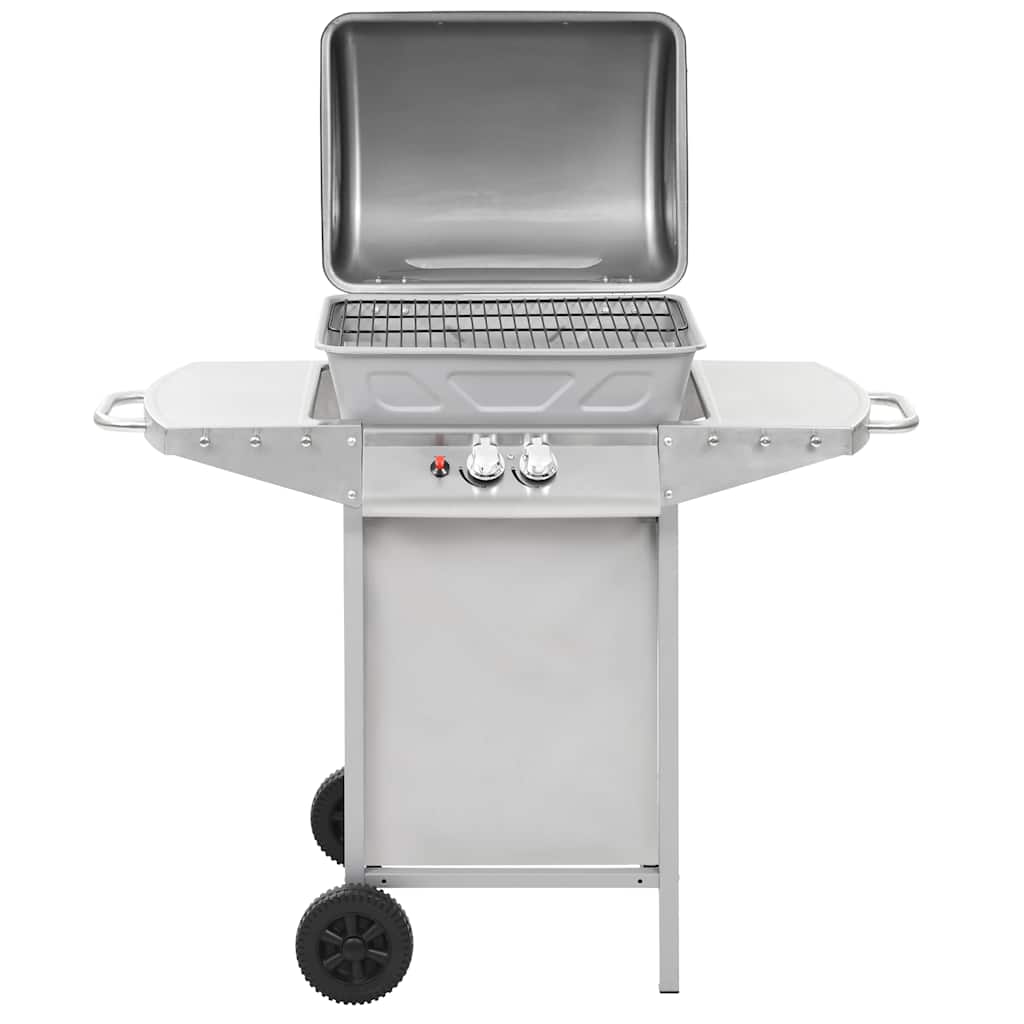 Barbecue A Gas Con Griglia 2 Fornelli Argento Acciaio Inox