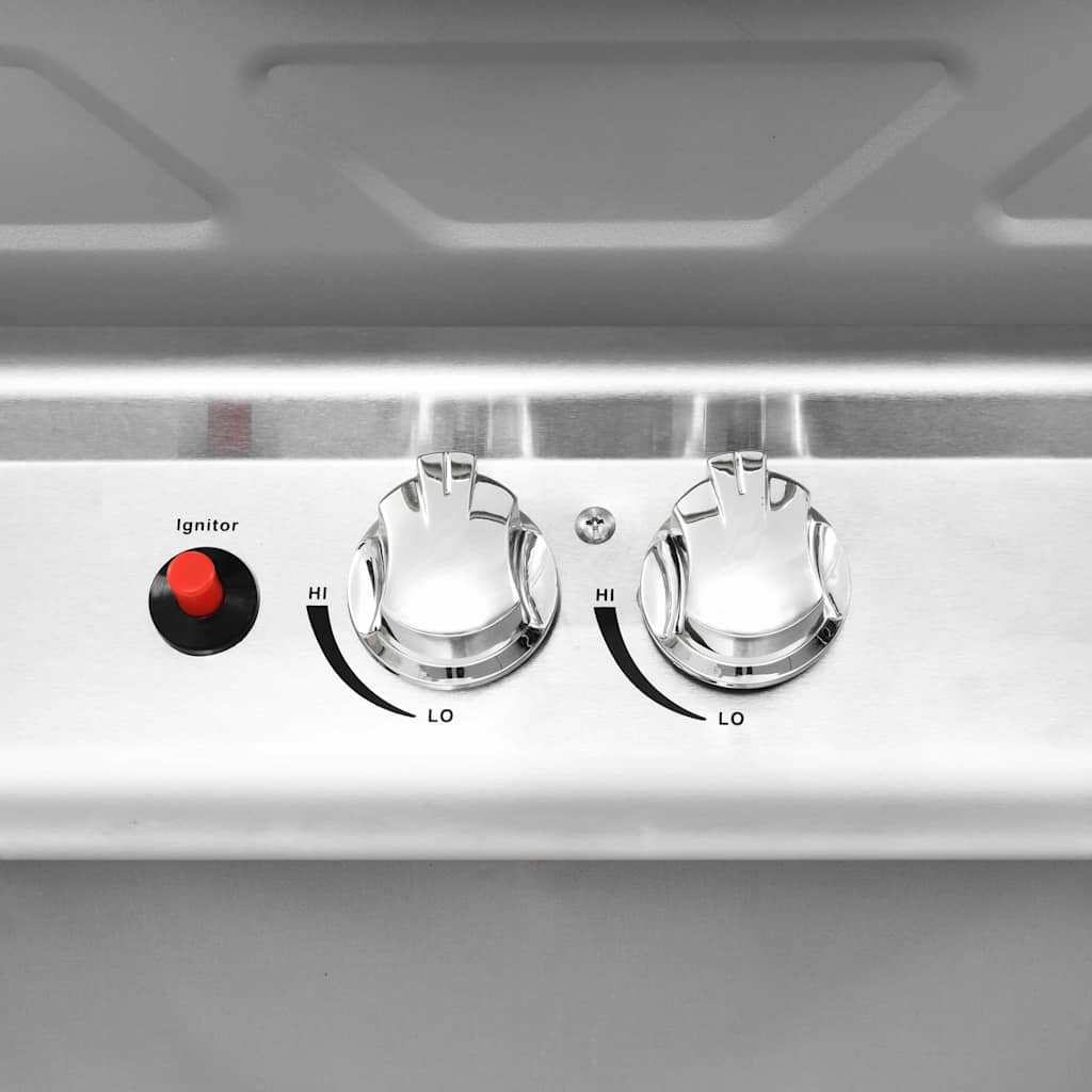 Barbecue A Gas Con Griglia 2 Fornelli Argento Acciaio Inox