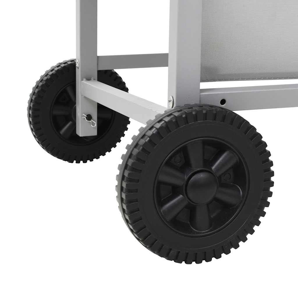 Barbecue A Gas Con Griglia 2 Fornelli Argento Acciaio Inox