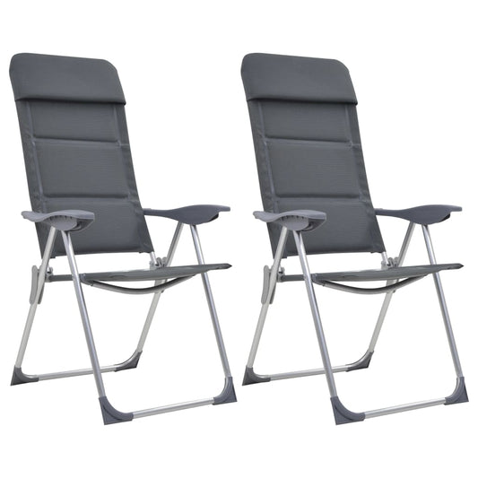 Sedie Da Campeggio 2 Pz In Alluminio 58X69X111 Cm