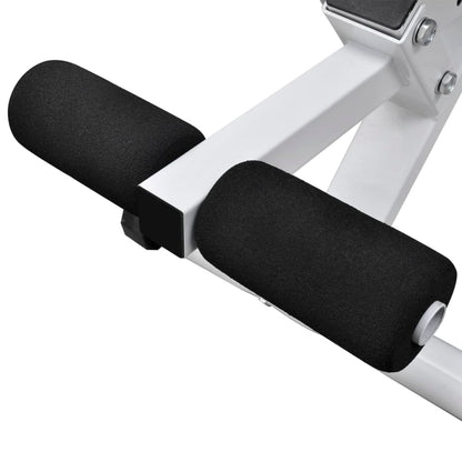 Panca Da Palestra Con Bilanciere E Set Di Manubri 60,5 Kg