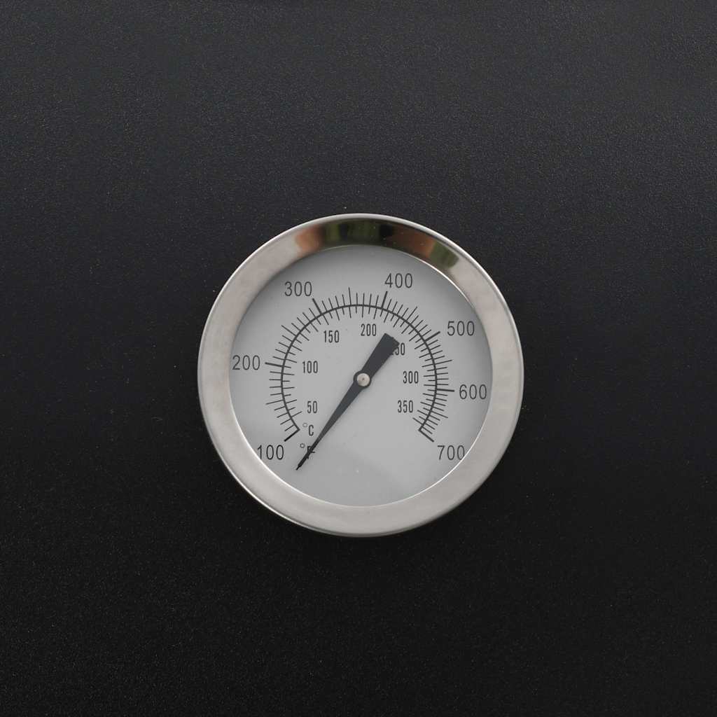 Barbecue Classico Affumicatore A Carbonella